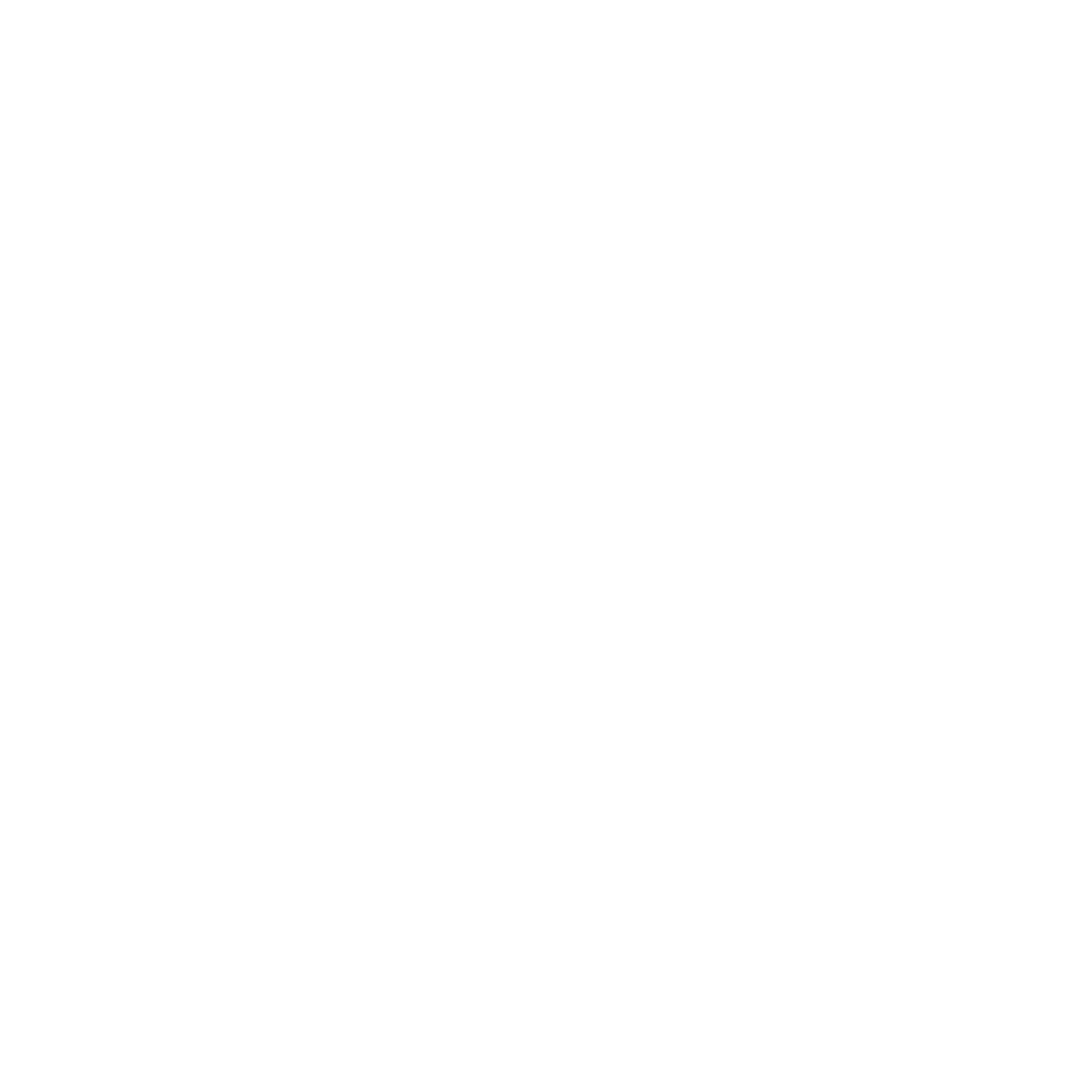 HAISTORM logo